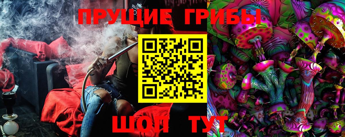 Печора  Псилоцибиновые грибы Psilocybine cubensis  Вход с VPN 